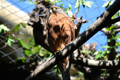 World of Birds Wildlife Sanctuary.